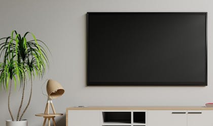 Stue med plante, lampe og stor TV-skjerm