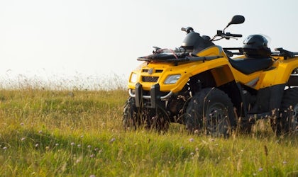 atv på sommermark